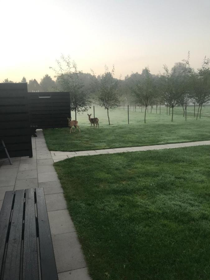 B&B Beach&Bos Oostvoorne Exteriér fotografie